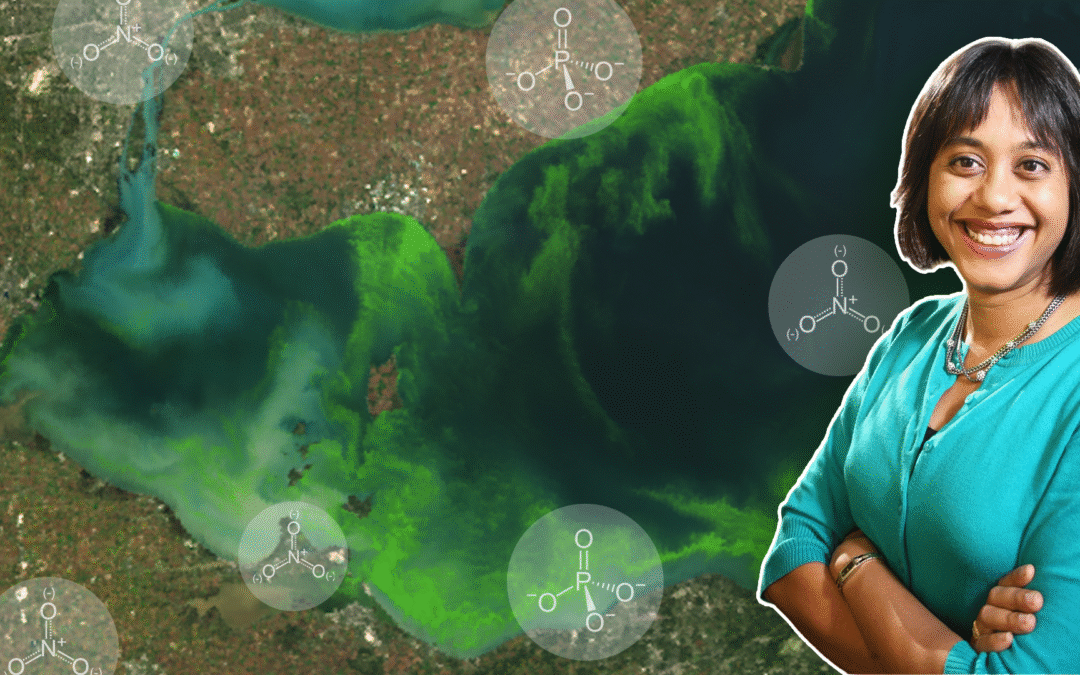 Nitrogen and Phosphorous Leave a Legacy of Water Pollution with Nandita Basu