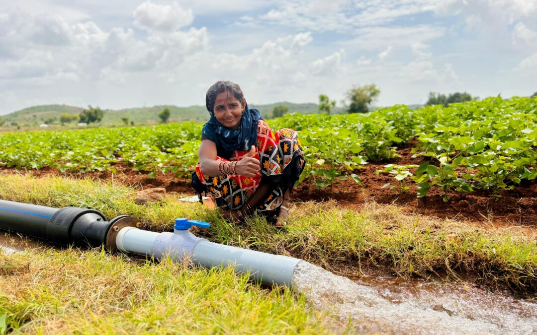 Building Community Expertise in Water Management: Insights From a Community Hydrology Programme in Raichur, Karnataka