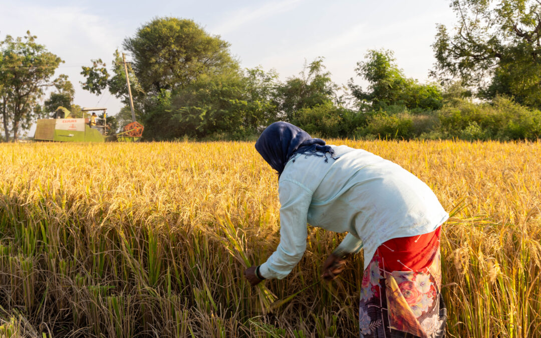 Unpaid, Unseen, Unending: The Workdays of Rural Women