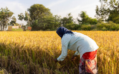 Unpaid, Unseen, Unending: The Workdays of Rural Women