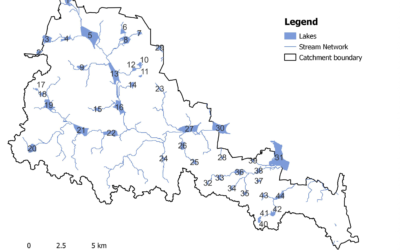 Cascading urban lakes: how spatial, temporal, and anthropogenic characteristics control lake behavior