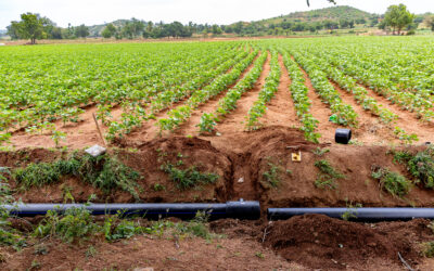 Three Years of Rural Futures: Reimagining Water, Land, and Livelihoods