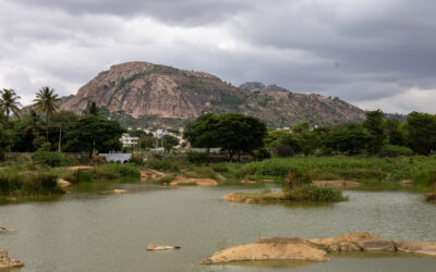 A Vision for Mallapalli Lake
